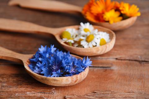 herbs on spoons